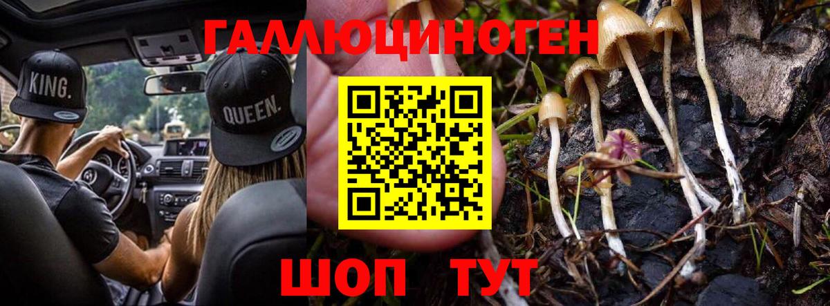 Видное  Псилоцибиновые грибы MAGIC MUSHROOMS  Вход с VPN  закладки  Галлюциногенные грибы ЛСД 