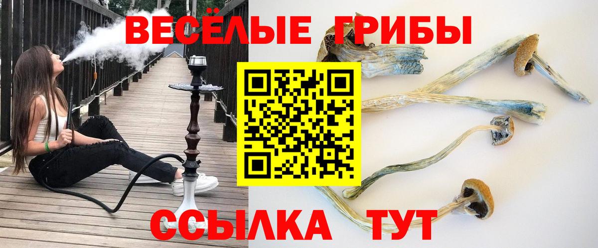 Галлюциногенные грибы ЛСД Видное